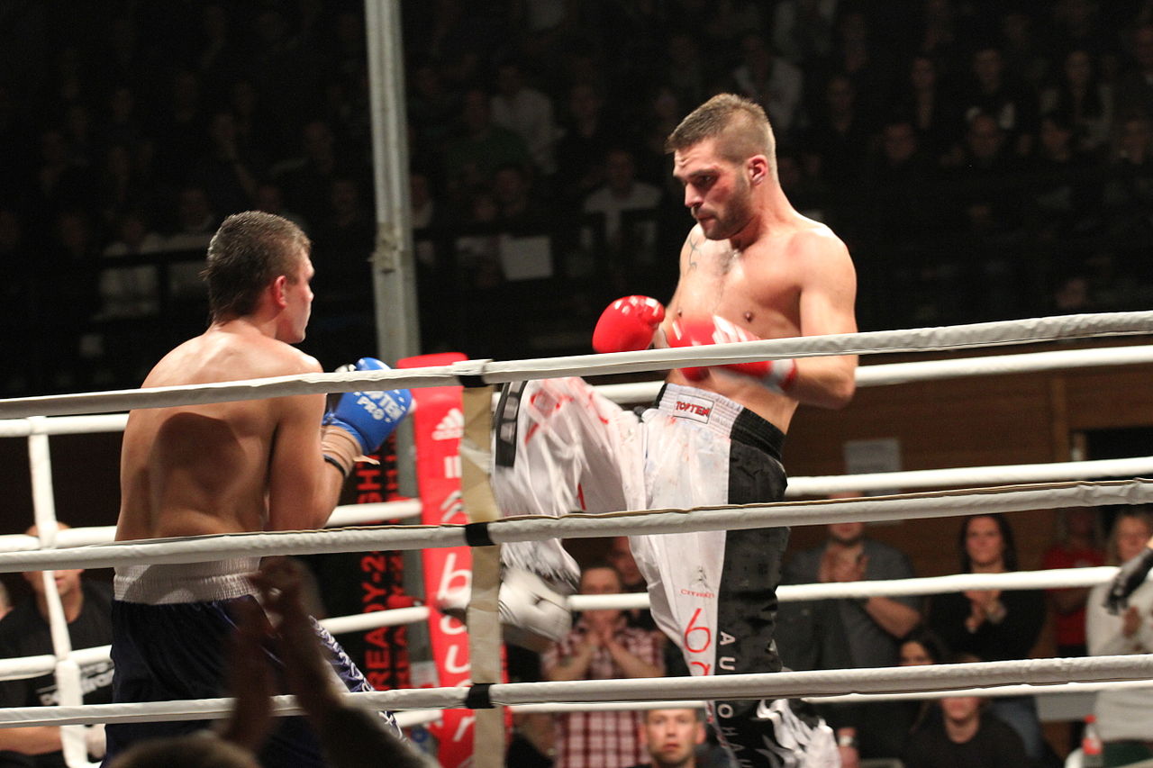 World Association of Kickboxing Organizations